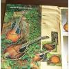 Custom Ibanez 529  Mandolin - 1982 - Antique Violin brown