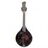 Custom Eastman MD505 Classic A Style Mandolin Violin Finish SALE