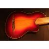 Custom Rick Turner Renaissance  5 String Acoustic Electric Fretless Bass (RB 5-FL) Cherry Sunburst #1 small image