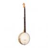 Custom Gold Tone MM-150LN Maple Mountain Openback Banjo (Long Neck, Five String, Maple) #1 small image