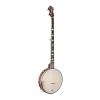 Custom Gold Tone WL-250LN White Ladye Long Neck Banjo