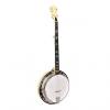Custom Gold Tone MC-KIT(RES) 5-String Resonator Banjo Craftsman Kit #1 small image