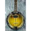 Custom Gold Tone GT-750 Acoustic-Electric Banjitar--6-String Banjo Uses Guitar Tuning!