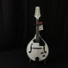 Custom Stagg M50 E WH - Electric/Acoustic Mandolin #1 small image