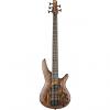 Custom IBANEZ SR655 ABS ELECTRIC BASS GUITAR #1 small image