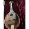 Custom Gibson A2 Mandolin 1918/19 Sheraton Brown