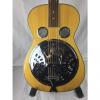 Custom Regal RD 75 Dobro With Raised Nut For Lap Steel Play