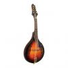 Custom Gold Tone GM-A+ Rigel A-Style Mandolin with Pickup #1 small image