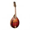 Custom Gold Tone GM-55A - A-Style Mandolin with Antique Design #1 small image