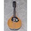 Custom fine old green MANDRIOLA 12string teardrop mandolin mando GERMANY 1920s