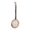 Custom Gold Tone CC-Carlin 12-Inch Pot Old-Time Banjo