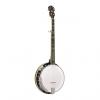 Custom Gold Tone BG-250 Bluegrass Banjo
