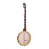 Custom Gold Tone BB-400+ Banjo Bass with Pickup and Case