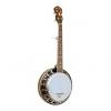 Custom Gold Tone BG-Mini Bluegrass Mini Banjo