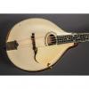 Custom Gibson A-3 Mandolin 1920's Ivory Top #1 small image