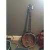 Custom Luna 6 String Banjo