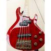 Custom ESP LTD rb-1005  Red see-thru spalted maple