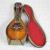 Custom Lyon &amp; Healy Bowl Back Mandolin w/Original Case