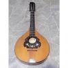 Custom fine old PERLGOLD quality Bass WALDZITHER big huge 9string mandolin mandola GERMANY 1930s