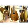 Custom 1993 Handcrafted MandoCello by Stephenson, Arched top and back