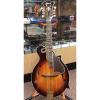 Custom New Ibanez M700S F-Style Solid Sitka Spruce Top Mandolin