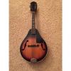 Custom Vintage 8 String A Style Mandolin #1 small image