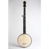 Custom W. A. Cole  Eclipse Model 2500 5 String Banjo (1895), ser. #2375, NO CASE case.