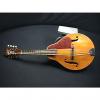 Custom Vintage U.S.A.Made Solid Wood Silvertone Archtop-Archback Mandolin in Ready to Play Condition #1 small image