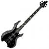 Custom ESP Tom Araya Bass with Case