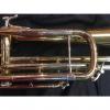 Custom Bach Stradivarius B188 Bass Trumpet #1 small image