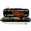 Custom Antonio Strad 4/4 Violin Model 5H 2017 #1 small image