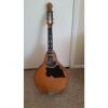 Custom Vintage Mandolin Late 1800s/very early 1900s Ladyhead Style &quot;A&quot; type mandolin