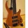 Custom Peavey Grind BXP 5 String Bass with custom Peavey Hard Case