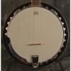 Custom Savannah SB-110 Banjo