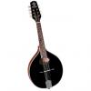 Custom Trinity College TM-250B Standard Celtic Mandolin, Black Top - Brand New! [TM250B] *Make An Offer*