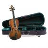 Custom Francesco Cervini  4/4 Violin SV-2 with Case and Bow Professionally Setup #1 small image