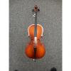 Custom Carlo Robelli 205 1/4 Cello