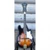 Custom Fender FM62SCE acoustic/electric mandolin