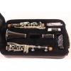 Custom Selmer Paris Seles B16 Presence Professional Clarinet DISPLAY MODEL #1 small image