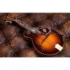 Custom Gibson Custom Shop F-5 120th Anniversary Master Mandolin #41923321 Lacquer Cremona Burst #1 small image
