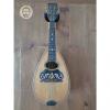 Custom Lyon &amp; Healy 8 String Bowlback Mandolin * For restoration