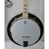 Custom Deering Goodtime Special Banjo