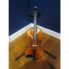 Custom Eastman  VL305   3/4 Violin