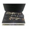 Custom Selmer Bundy resonite clarinet