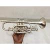 Custom Bach cornet CR300