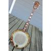 Custom Kay Silva Tenor 4 string Closed Back Banjo 1950's Brazilian Rosewood
