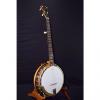 Custom Stelling  Afton Star Banjo