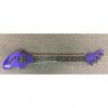 Custom DeArmond (Fender) Ashbory Bass