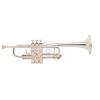 Custom Bach Stradivarius C Trumpet 180SL229 (Silver Plated) (BAC180SL229)
