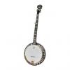Custom NEW Deering Sierra Mahogany 5 String Banjo